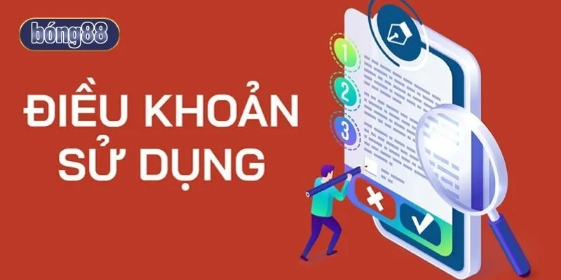 Tổng hợp các câu hỏi phổ biến về điều khoản sử dụng