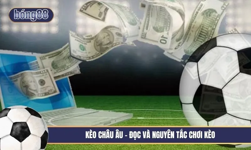 Kèo châu Âu - Cách đọc odds 1x2 và các nguyên tắc chơi kèo