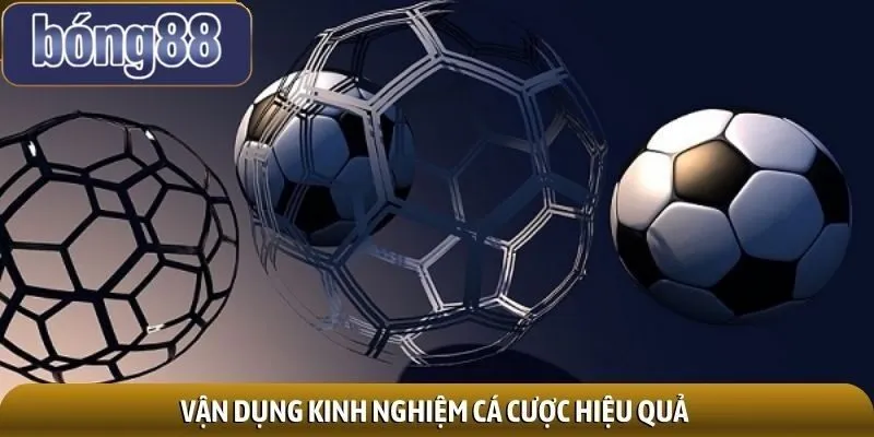 Tích lũy kinh nghiệm cá cược giúp tối ưu hóa lợi nhuận